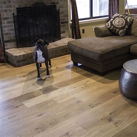 which flooring is best for pets